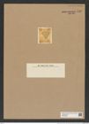 Triceratium firmum Grev. (de-Toni-Nr.: Genus 140, Species 3743) Zeichnungen Sammlung Grunow Nr. 7259 (NHMW-BOT-W0376263)